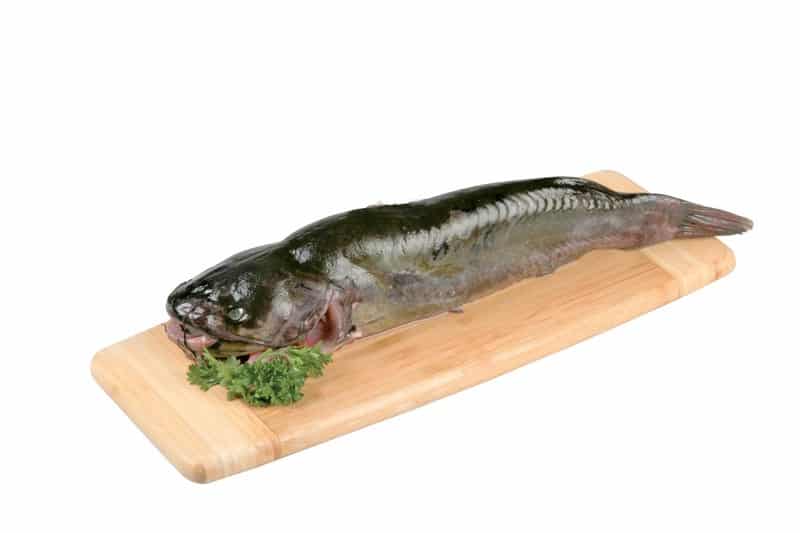 Whole Catfish on Cutting Board Food Picture