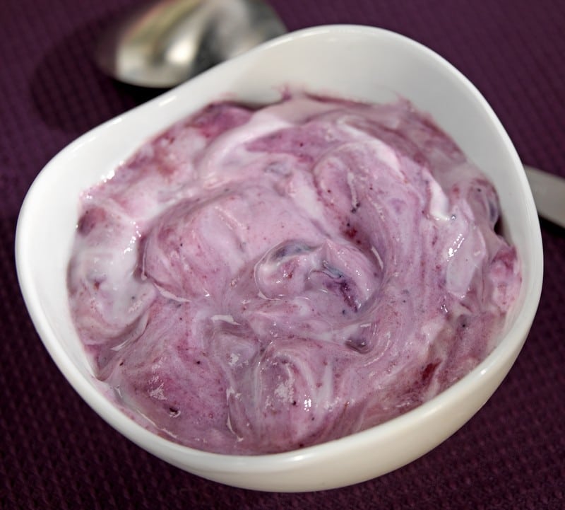 Bowl of Blueberry Yogurt Food Picture
