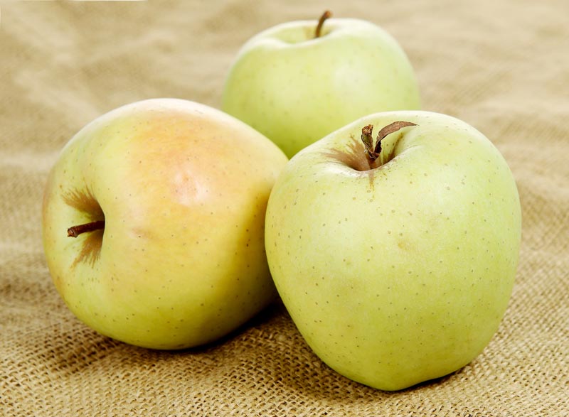 Apple Golden Delicious Food Picture