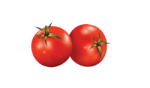 Tomato Slices Food Picture